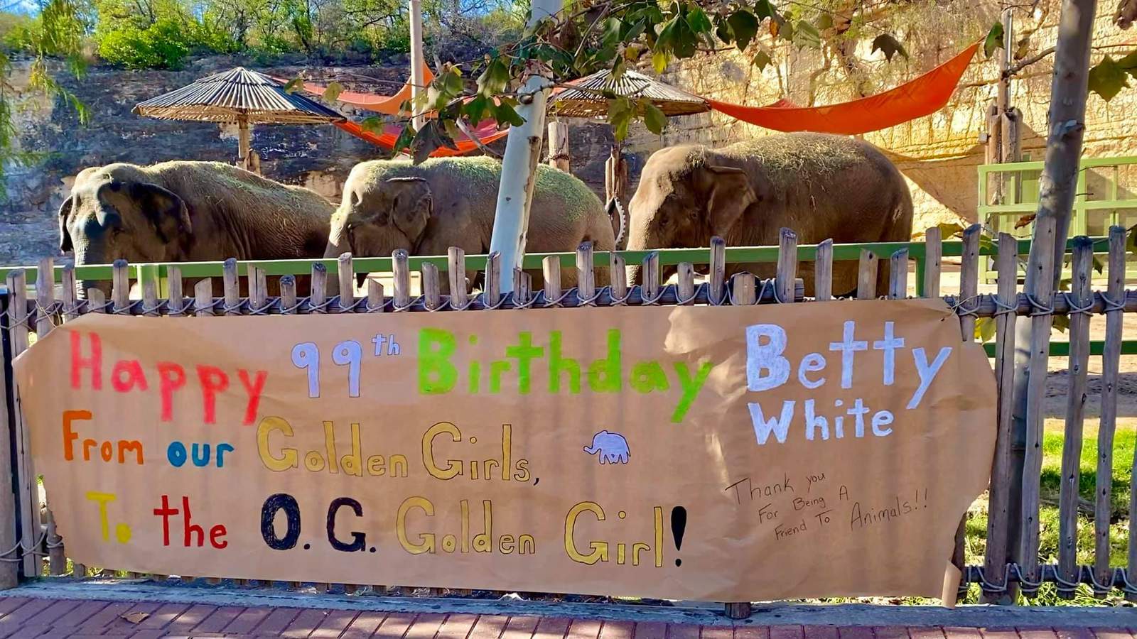 San Antonio Zoo pays tribute to animal lover Betty White on 99th birthday