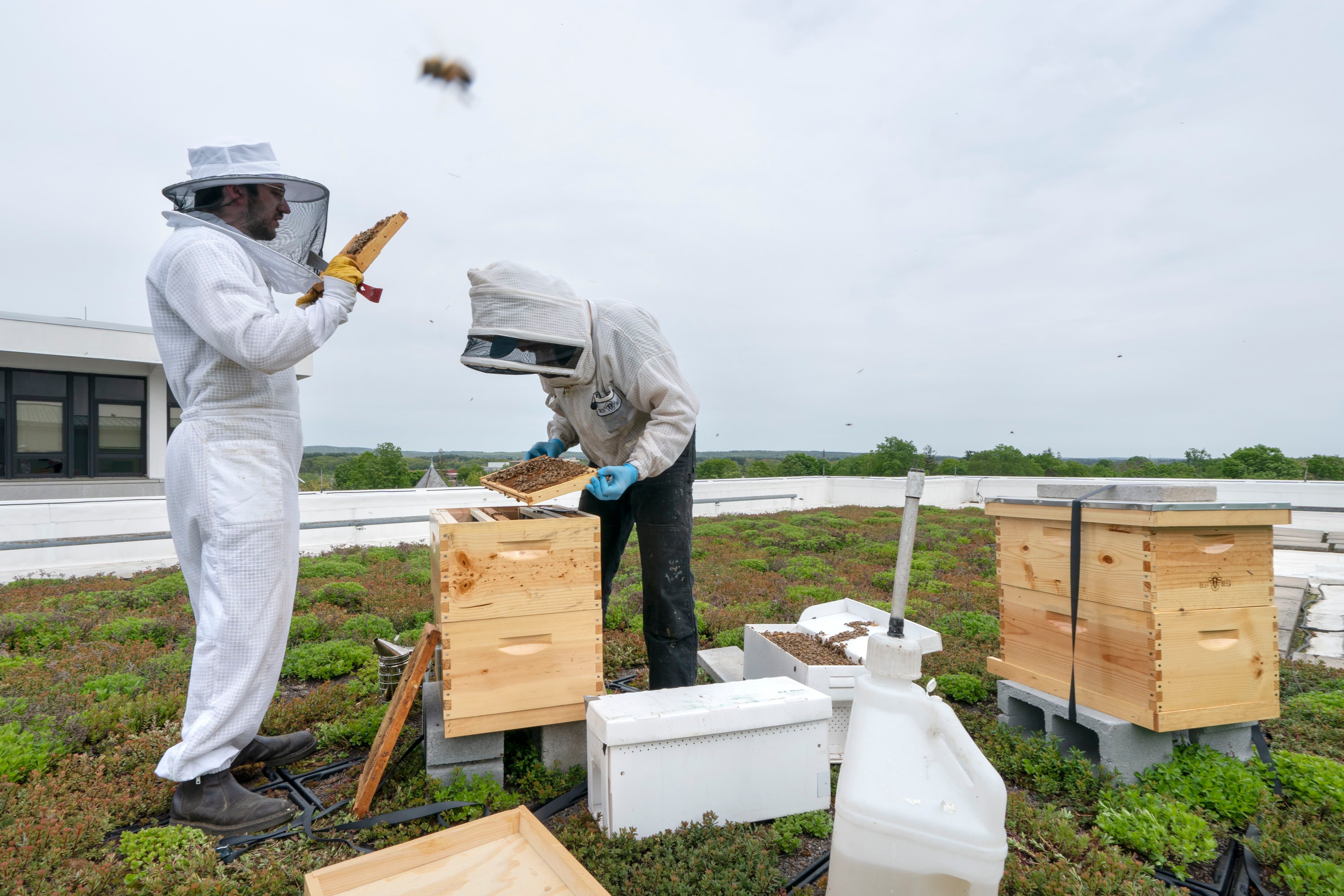 37 Buzz-Worthy Gifts For Beekeepers Guaranteed To Help Their Hives