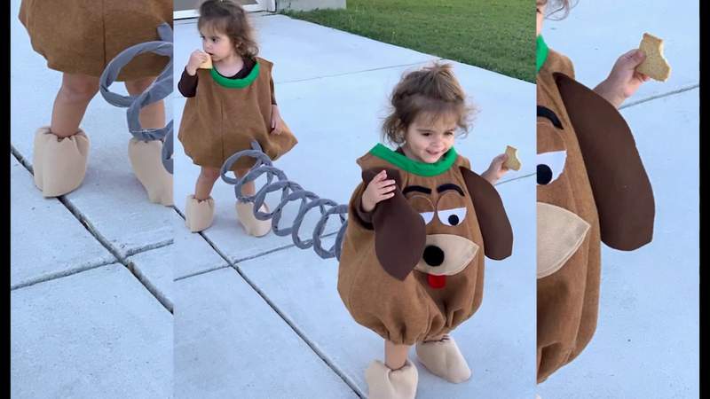 Pixar Kid's Toy Story Slinky Dog Costume