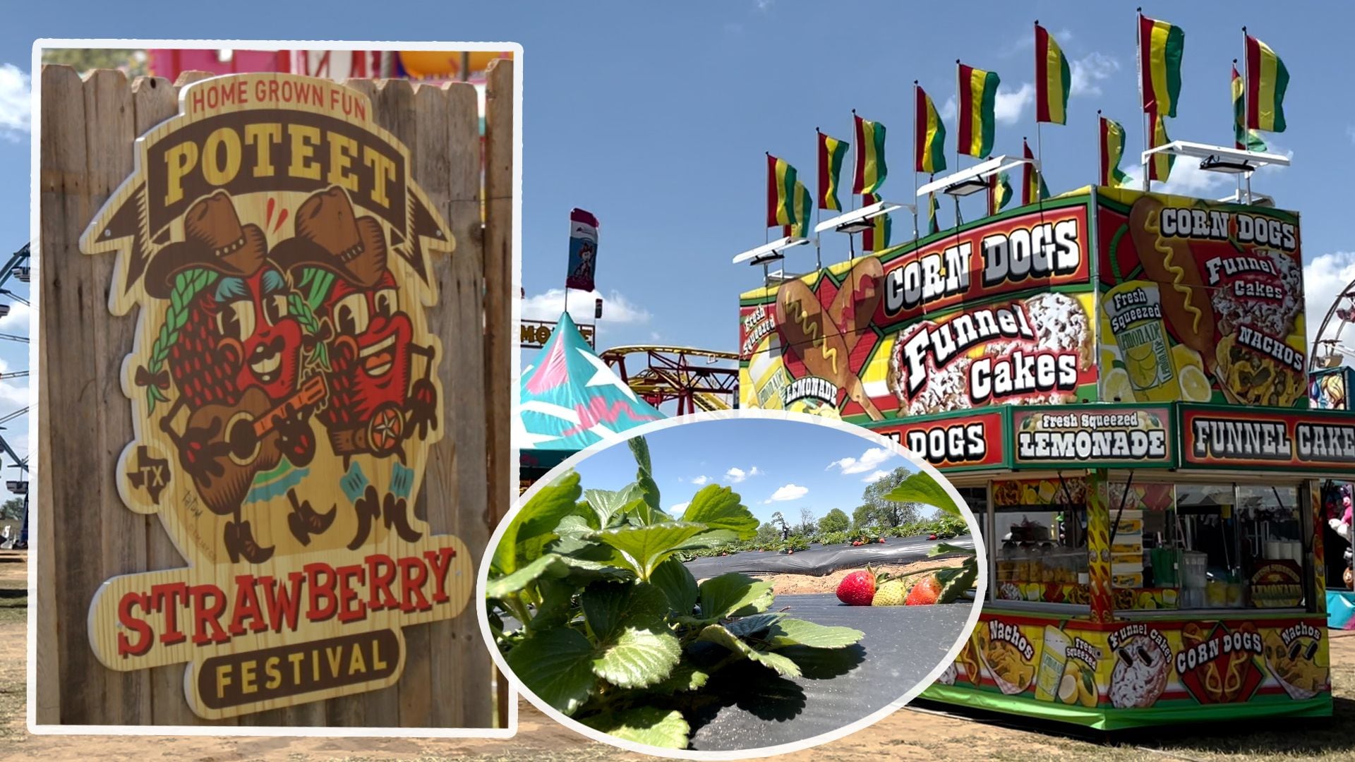 Poteet Strawberry Festival releases lineup, schedule for 2024 🍓