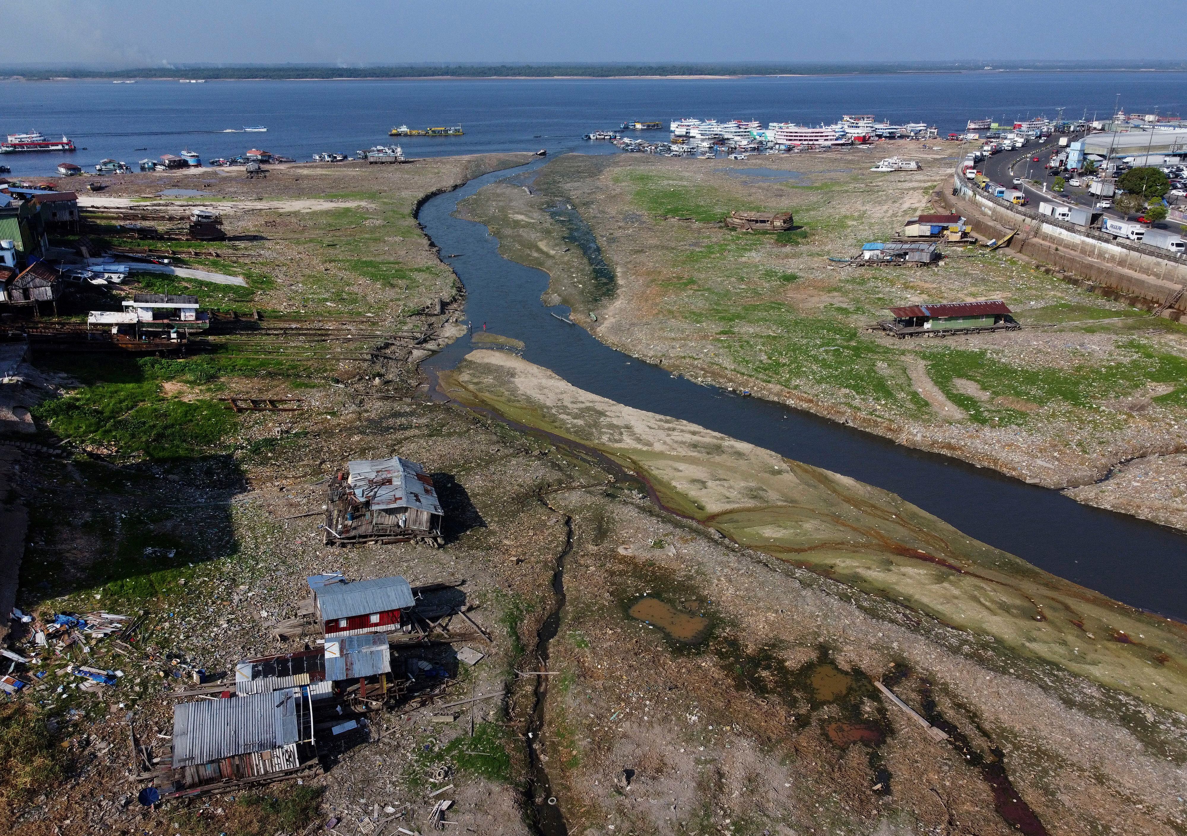 Brazil's  rainforest faces a severe drought that may affect around  500,000 people