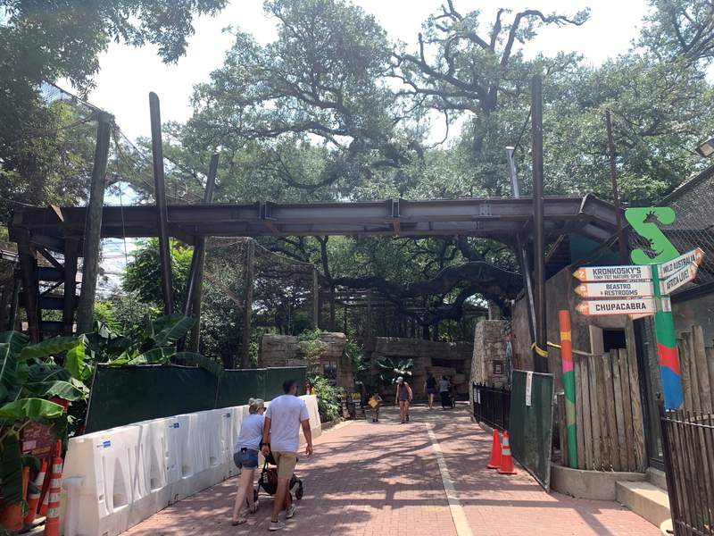 San Antonio Zoo announces new exhibit ‘Neotropica’ coming this fall