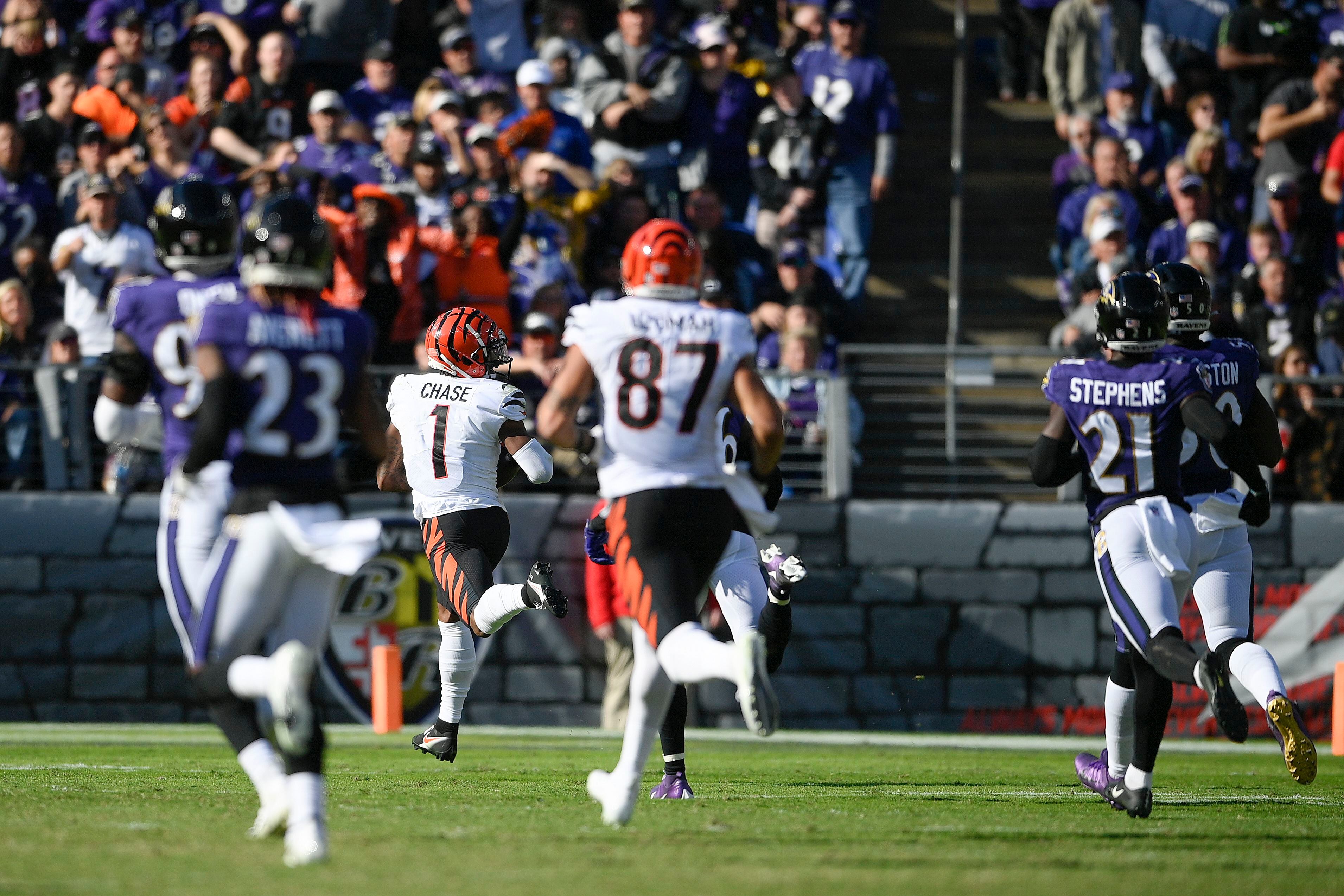 Cincinnati Bengals Quarterback Joe Burrow On Ravens Coin Flip